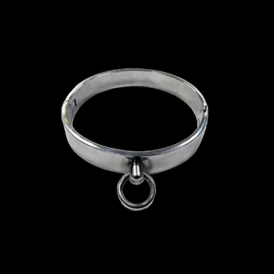 Rouge Stainless Steel Collar