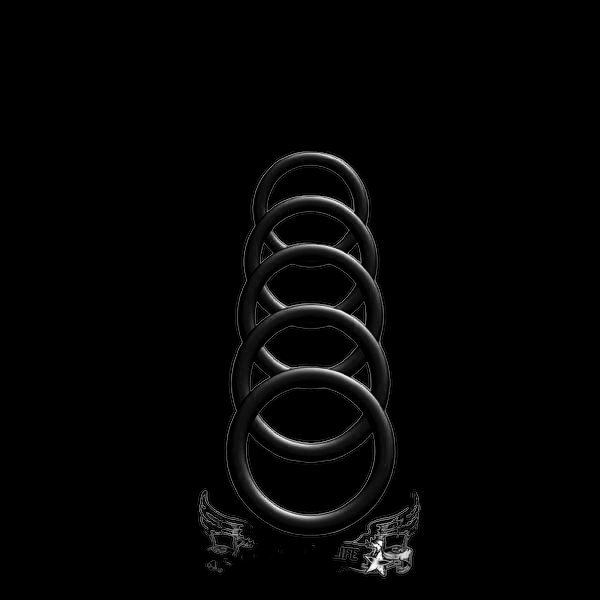 Boneyard Silicone Ring 5 Pcs Kit Black